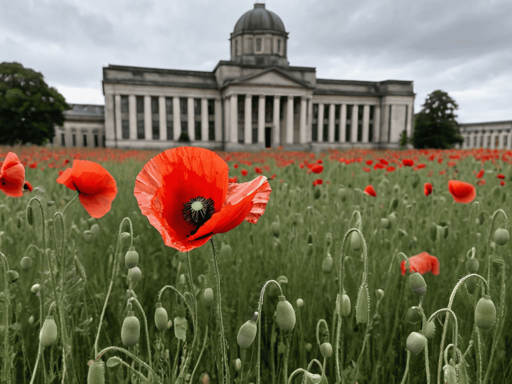 Crippling Effects of Tall Poppy Syndrome